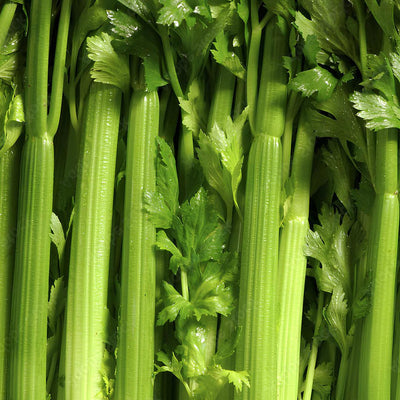 Aipo talo (0,9kg)