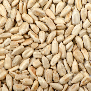 Sementes de Girassol (0,150kg)