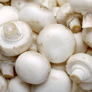 Cogumelo branco (0,25kg)
