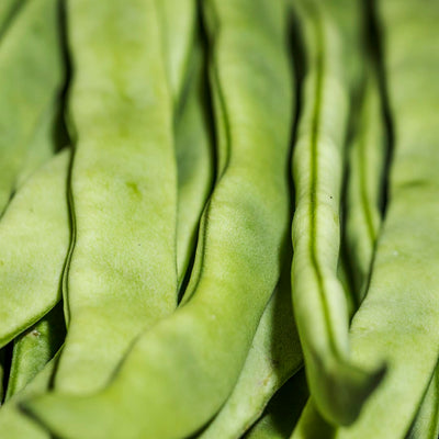 Feijão verde (0,25kg)