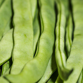 Feijão verde (0,25kg)