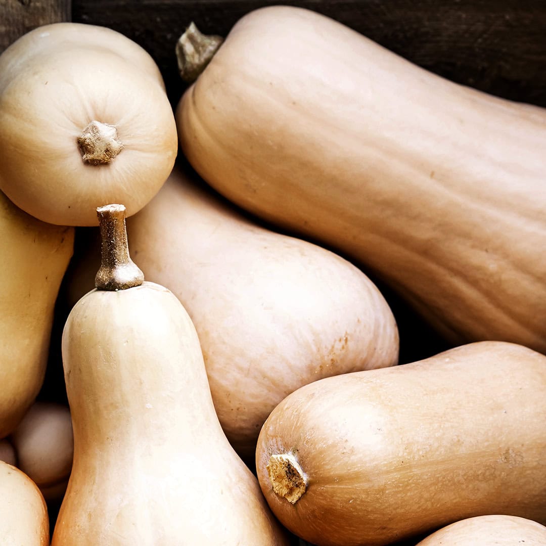 Abóbora butternut (0,8kg)