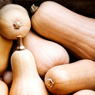 Abóbora butternut (0,8kg)
