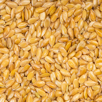 Sementes de Linhaça Dourada (0,2kg)