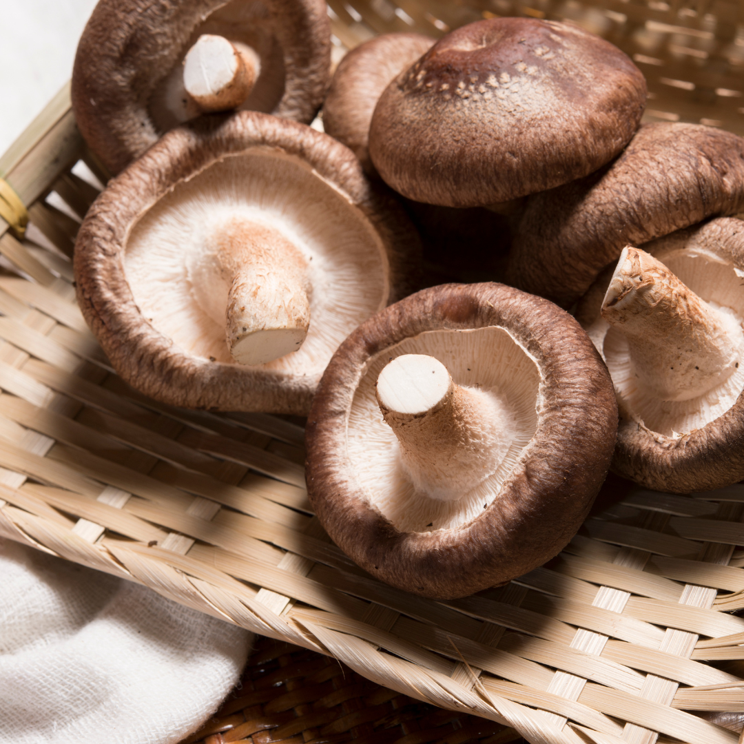 Cogumelo shitake (0,25kg)
