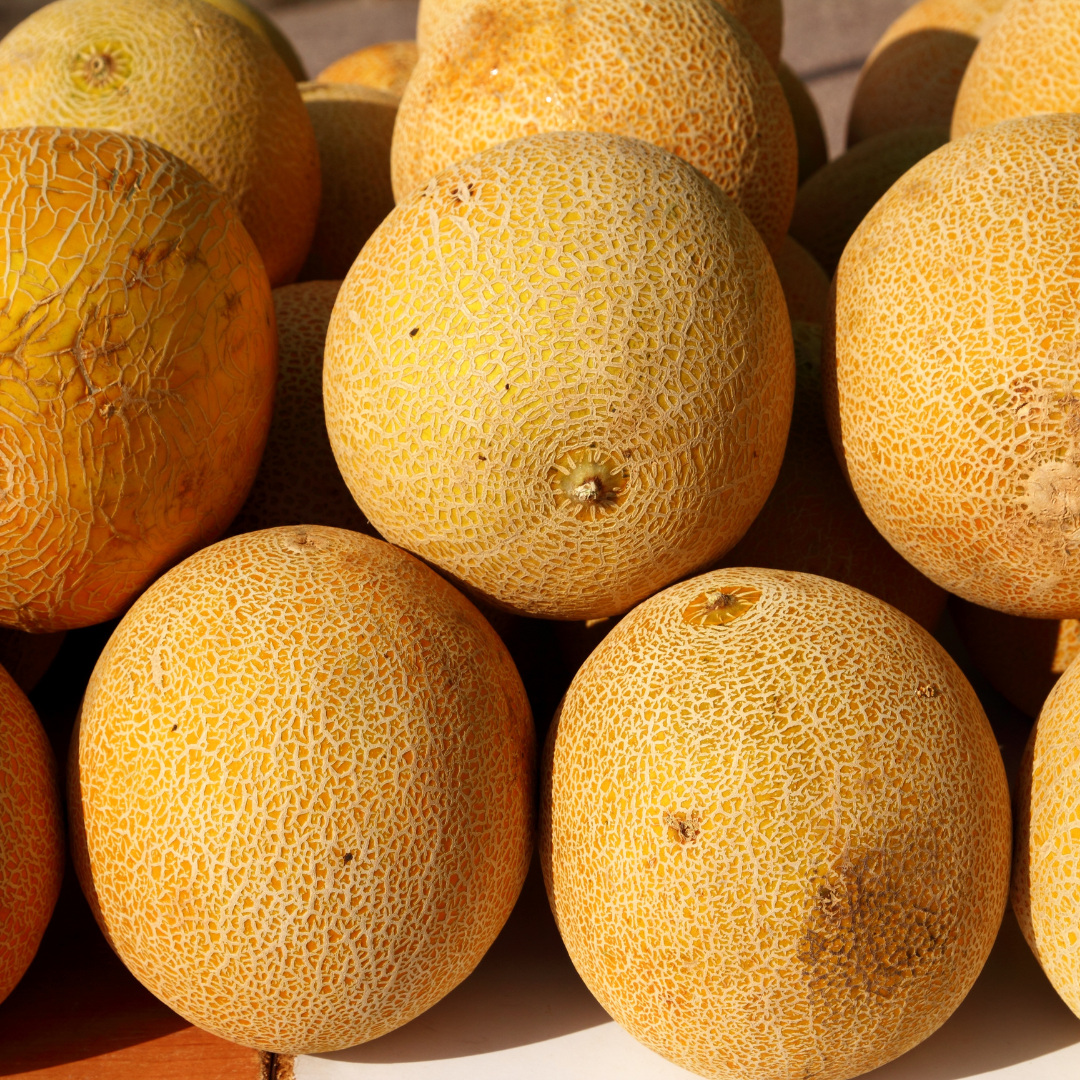 Melão gália (0,8kg)