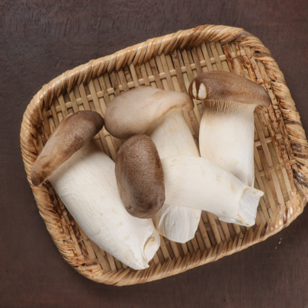 Cogumelo Eryngii (0,5kg)