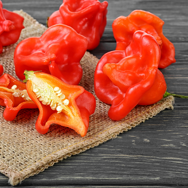 Malagueta Sino (0.1kg)