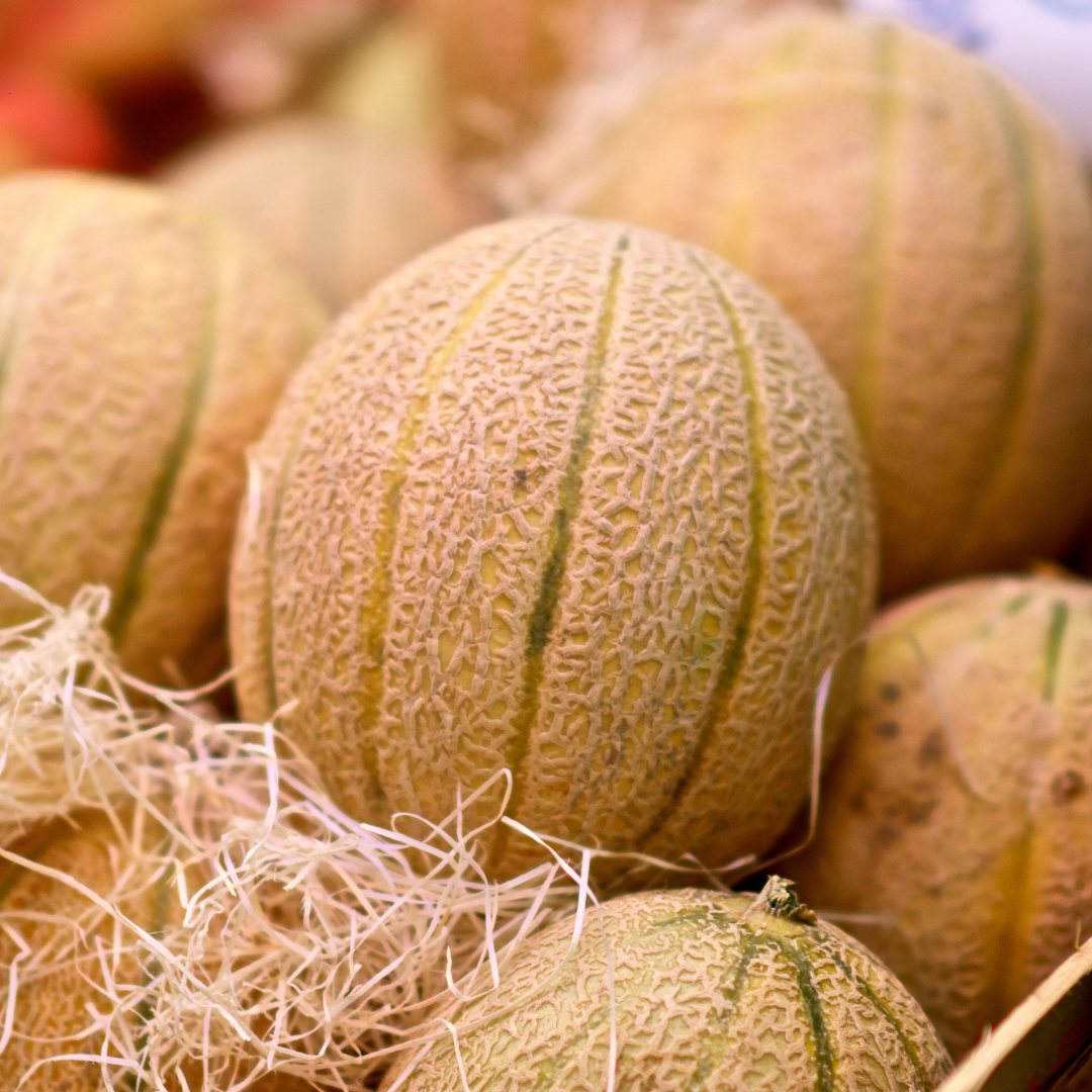 Meloa cantaloup (1,2kg)