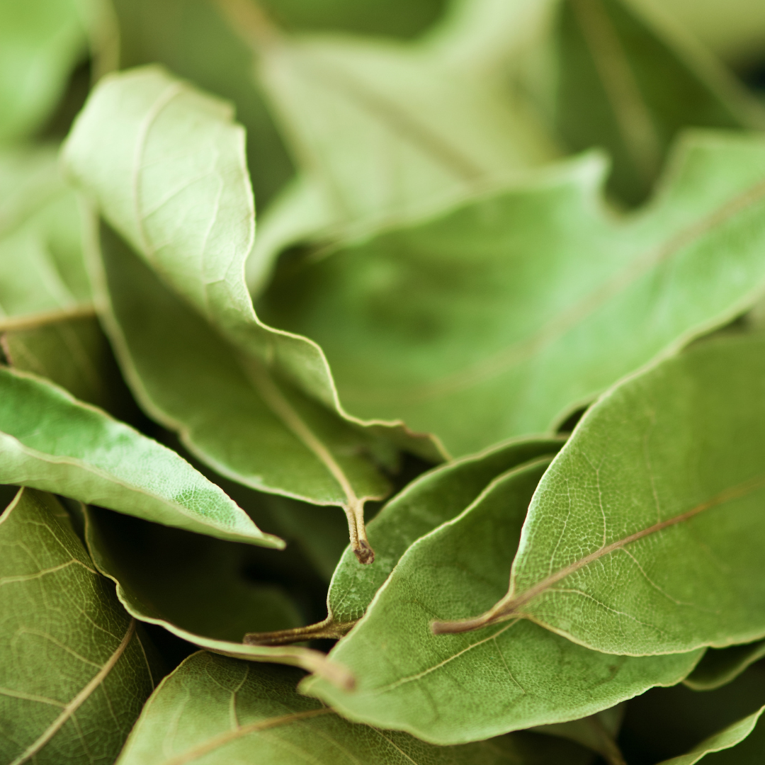 Aromática - Louro (0,015kg)