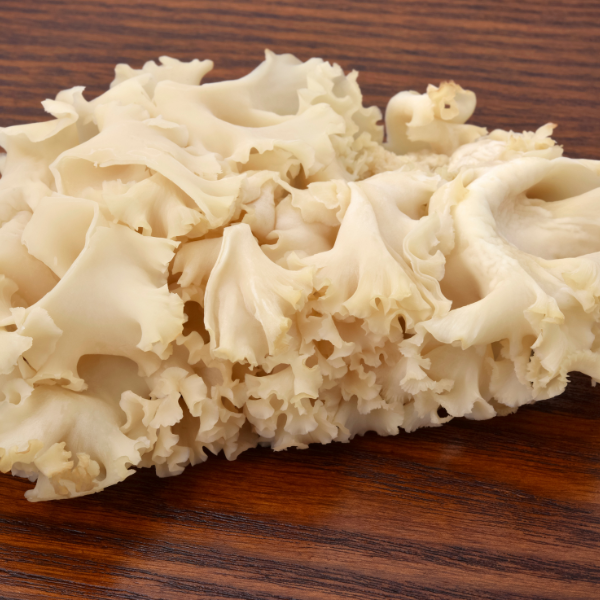 Cogumelo sparassis (0,1kg)