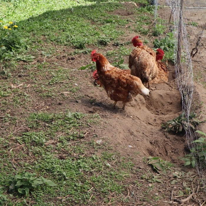 Cenário Mobile