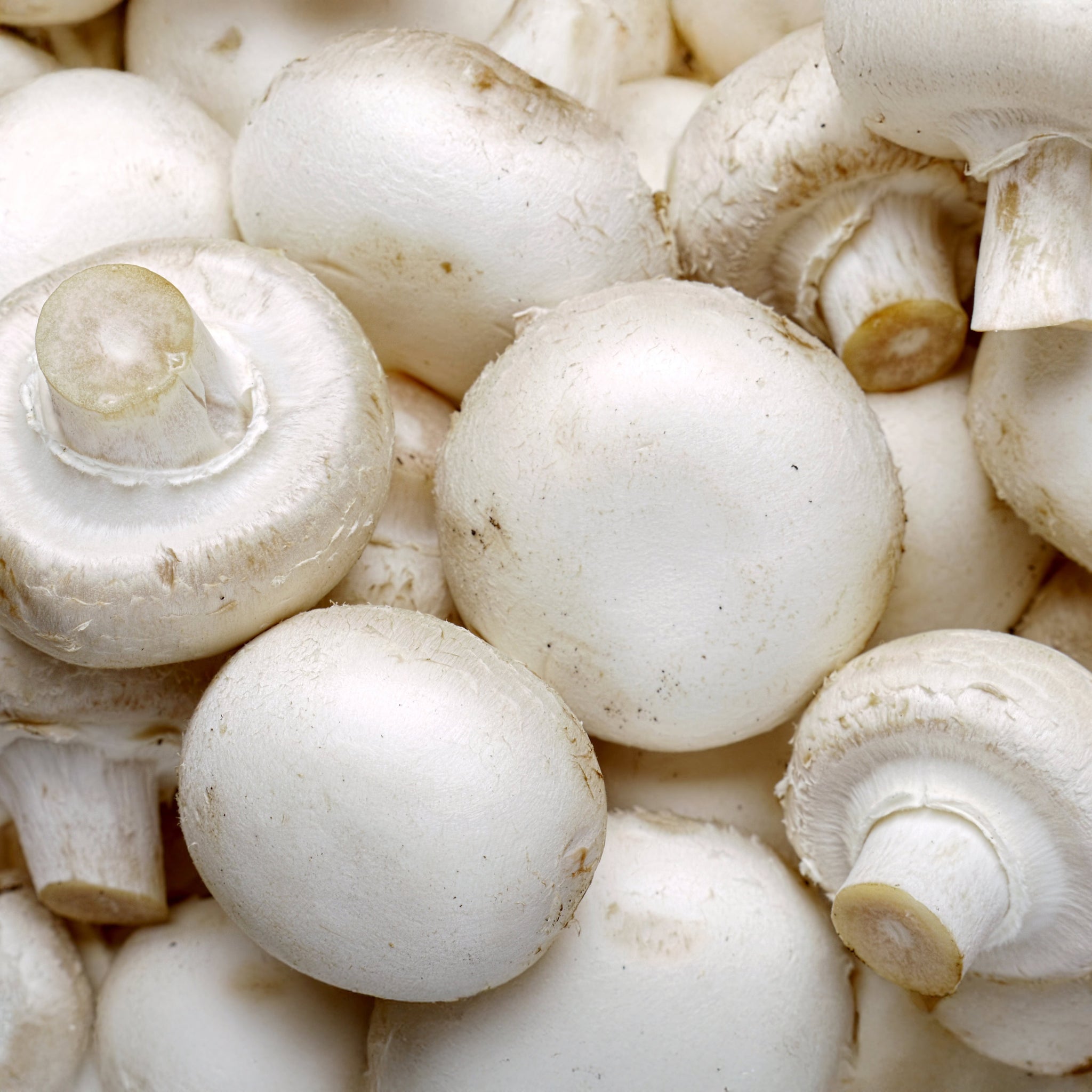 Cogumelo branco (0,25kg)