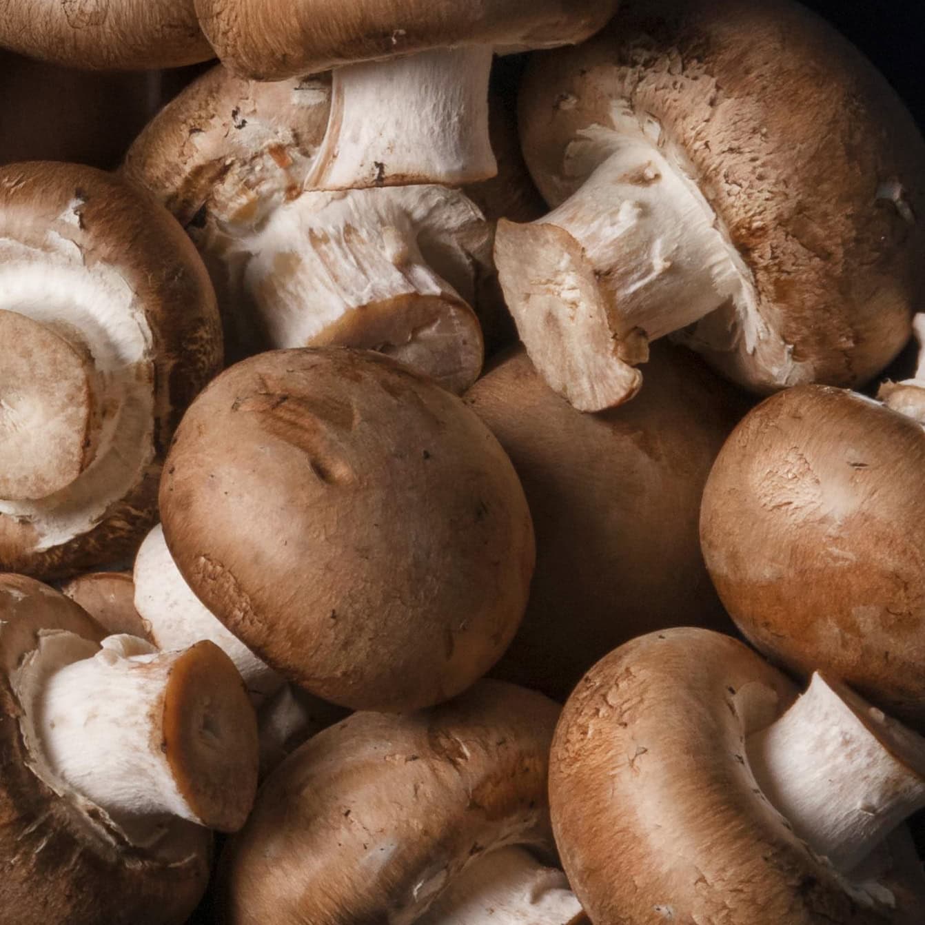 Cogumelo marron (0,25kg)