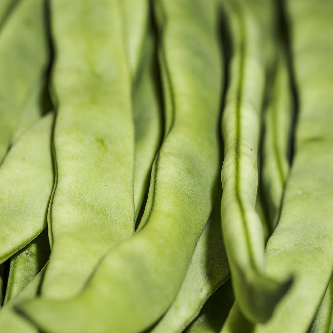 Feijão verde (0,25kg)