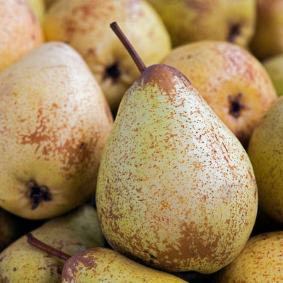 Pera rocha (0,5kg)